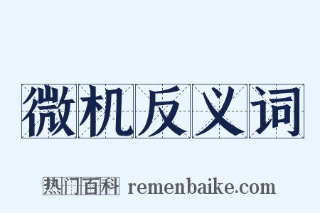 微机反义词是什么意思的图片